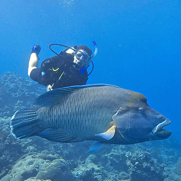 Cláudio e Joyce Guimarães